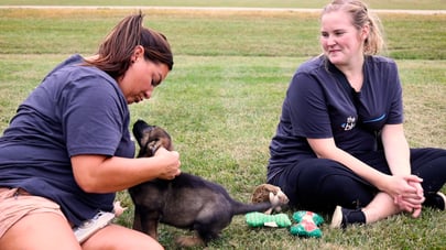 Audit Manager Shannon Miller and Administrative Assistant Abigail Williams play with a German shepherd puppy.