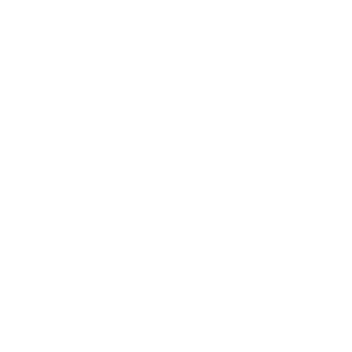 Services Overview (3)