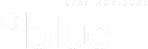 Blue & Co